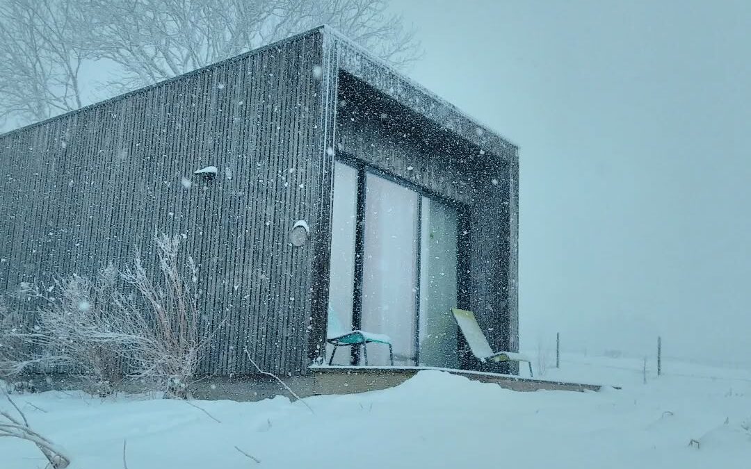 Dernière offensive hivernale